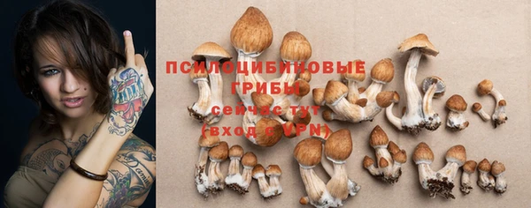 твердый Баксан